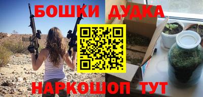 индика Заводоуковск